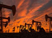 قیمت نفت خام در بالاترین سطح ۷ ساله
