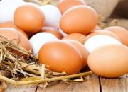 قیمت انواع تخم مرغ در بازار +جدول