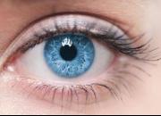 شیوع عفونت‌های ویروسی «چشم»