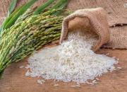افزایش سرسام‌آور قیمت برنج و گندم در بازارهای جهانی
