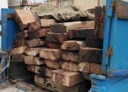 جزئیات انهدام باند قاچاق چوب جنگل‌های شمال/ دستگیری ۳ نیروی اداره منابع طبیعی
