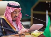 مقاومت داخلی در دولت سعودی درباره پروژه «نئوم»