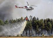 فیلم/ تلاش بالگردهای آب‌پاش برای مهار آتش‌سوزی