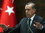 اردوغان در یک استان کردنشین کاخ می‌سازد