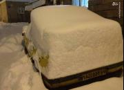 عکس/ سنندج پس از ۳۰ساعت بارش برف