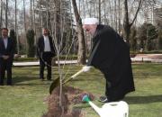 فیلم/ کاشت نهال توسط روحانی در هفته درخت‌کاری