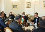عکس/ دیدار وزیر خارجه مجارستان با امیرعبداللهیان