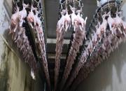 وعده جدید دولت: گوشت مرغ از فردا به میزان نیاز وارد بازار می‌شود