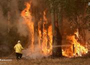 عکس/ ادامه آتش‌سوزی گسترده در استرالیا