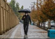 پیش بینی وزش باد در تهران