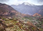 عکس/ طبیعت زیبای بهاری در ارتفاعات مازندران