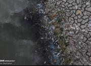 عکس/ مرگ ماهیان رودخانه قره سو