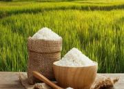 قیمت برنج هندی در بازار چند است؟