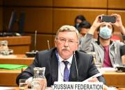 روسیه: مذاکره‌کنندگان در وین همه توان خود را برای حل‌وفصل اختلافات به کار می‌گیرند