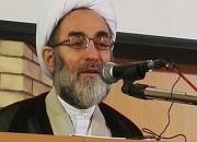 پیاده‌روی اربعین انعکاس عظمت اسلام به دنیاست