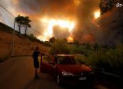 فیلم/ تصاویر دراماتیک از آتش سوزی های کالیفرنیا