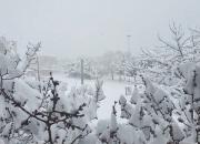 اهر و ورزقان نیم متر زیر برف رفت/ روستاها در محاصره برف