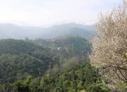 تصویری زیبا از ارتفاعات گیلان
