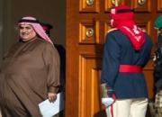  ذوق‌زدگی صهیونیست‌ها از مواضع خفت‌بار بحرین