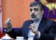 آمادگی ایران برای همکاری با کشورهای اسلامی در توسعه فناوری هسته‌ای