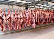 قیمت منطقی گوشت چقدر است؟