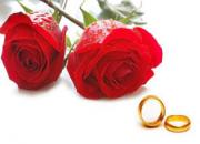 ازدواج 500 زوج هرمزگانی در جشن «گل های علوی» 