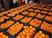 کاهش قیمت ۹ میوه در میادین میوه و تره بار