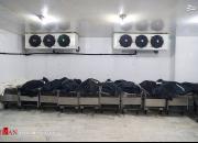 عکس/ پیک چهارم کرونا در تهران