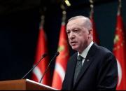 تناقضات اردوغان؛ اشتباه تاکتیکی یا خطای راهبردی