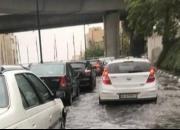 غافلگیری مدیران در پایتخت باران زده +عکس و فیلم
