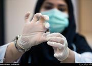 جزییاتی از ۱۲ شرکت تولید واکسن ایرانی