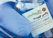 فیلم/ تولید انبوه واکسن کوو ایران برکت