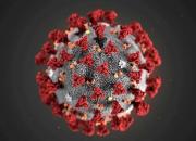 شناسایی ۱۷ مبتلا به ویروس کرونا در هرمزگان