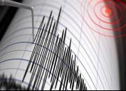 لحظه وقوع زلزله ۶.۴ ریشتری در آمریکا