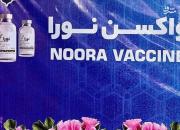 فیلم/ اثربخشی دو واکسن ایرانی کرونا روی کودکان
