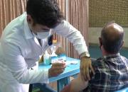 آخرین وضعیت واکسیناسیون اتباع خارجی در قم