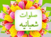 ۵ فضیلت آسمانیِ ائمه در صلوات شعبانیه