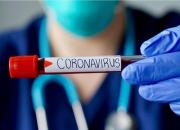 کلیه، کبد و قلب در معرض خطر ویروس کرونا