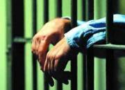 فیلم/ تجربه مجازات‌های جایگزین حبس در جهان