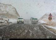 عکس/ بارش شدید برف در اهر تبریز