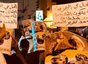 بحرینی‌ها در مخالفت با انتخابات پارلمانی تظاهرات کردند