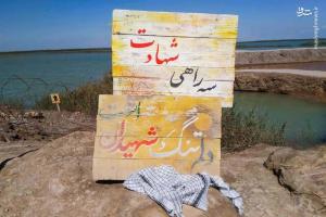 فیلم/ تفأل سردار باقرزاده به دیوان حافظِ یکی از شهدا