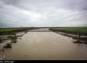 پنجمین روز سیلاب در استان گلستان؛ نیمی از آق‌قلا زیر آب رفت