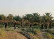 تأمین امنیت ۴ منطقه مرزی عراق با سوریه توسط حشد الشعبی