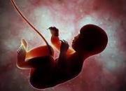 چه عواملی باعث سقط جنین می‌شود؟