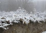 بارش برف وبارن ۳ روزه در ۱۶ استان