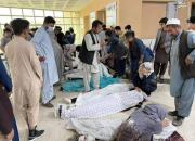 فیلم/ جنازه‌های بر زمین افتاده قربانیان انفجار کابل