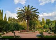 عکس/ بازگشایی باغ ارم شیراز