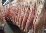 افزایش ۴۳درصدی عرضه گوشت قرمز در بازار