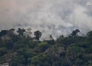 جدیدترین تصاویر از آتش‌سوزی آمازون